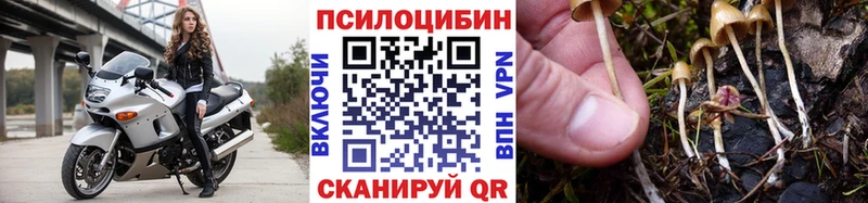 цена наркотик  Кириши  OMG зеркало  Галлюциногенные грибы мухоморы 