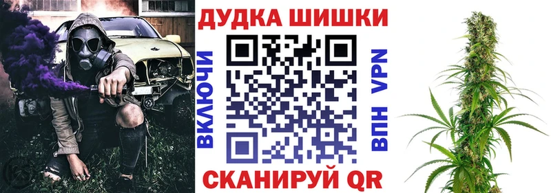 Бошки Шишки SATIVA & INDICA  как найти закладки  Кириши 